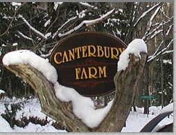 Canterbury Farms Outdoor Recreation!  Hike or Bike in Autumn Foliage, Cross Country Ski or Skate all winter!