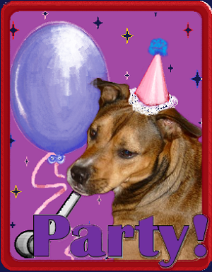 Parents! Give your Child the most awesome Birthday Party Event ever! Party with the ANIMALS, at Berkshire Humane Society OR Berkshire Museum!