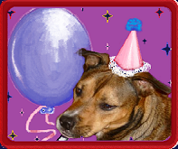 Parents! Give your Child the most awesome Birthday Party Event ever! Party with the ANIMALS, at Berkshire Humane Society!
