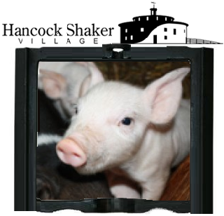 HANCOCK SHAKER VILLAGE RE-OPENS FOR THE 2015 SEASON WITH 'BABY ANIMALS' IN APRIL 2015.